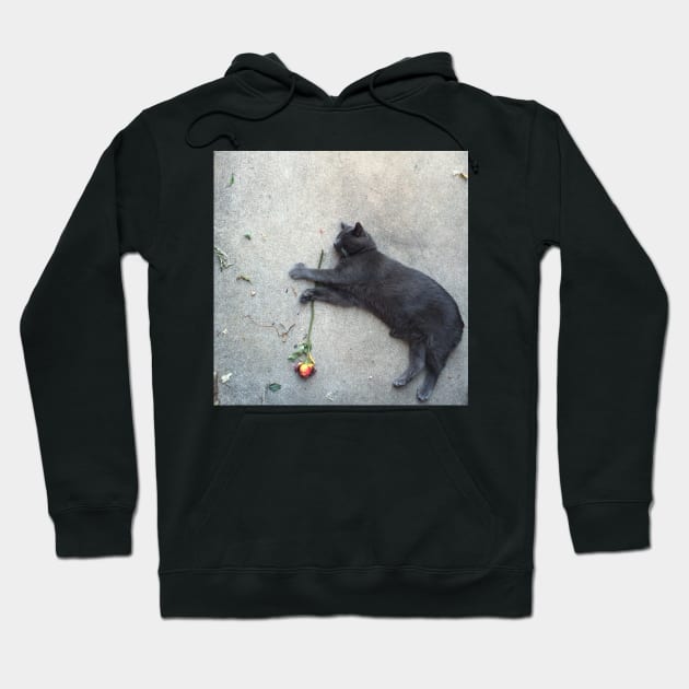 A Cat by Any Other Name Would Be as Sweet Hoodie by Rose Thorn Designs